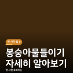 봉숭아물들이기 자세히 알아보기