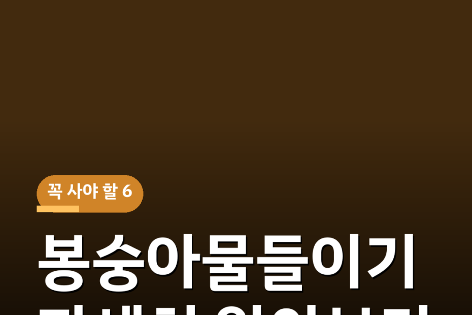 봉숭아물들이기 자세히 알아보기