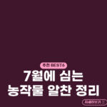 7월에 심는 농작물 알찬 정리