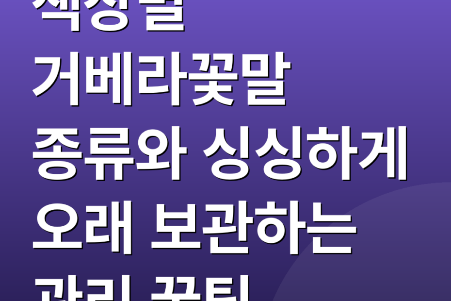색상별 거베라꽃말 종류와 싱싱하게 오래 보관하는 관리 꿀팁