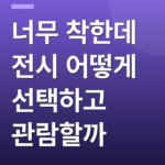 너무 착한데 전시 어떻게 선택하고 관람할까