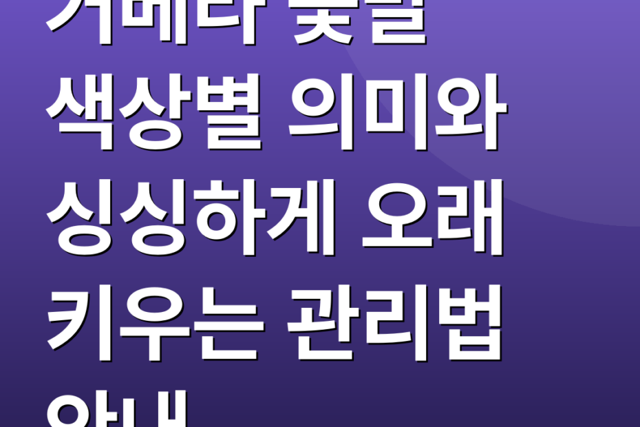거베라 꽃말 색상별 의미와 싱싱하게 오래 키우는 관리법 안내
