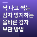 싹 나고 썩는 감자 방지하는 올바른 감자 보관 방법