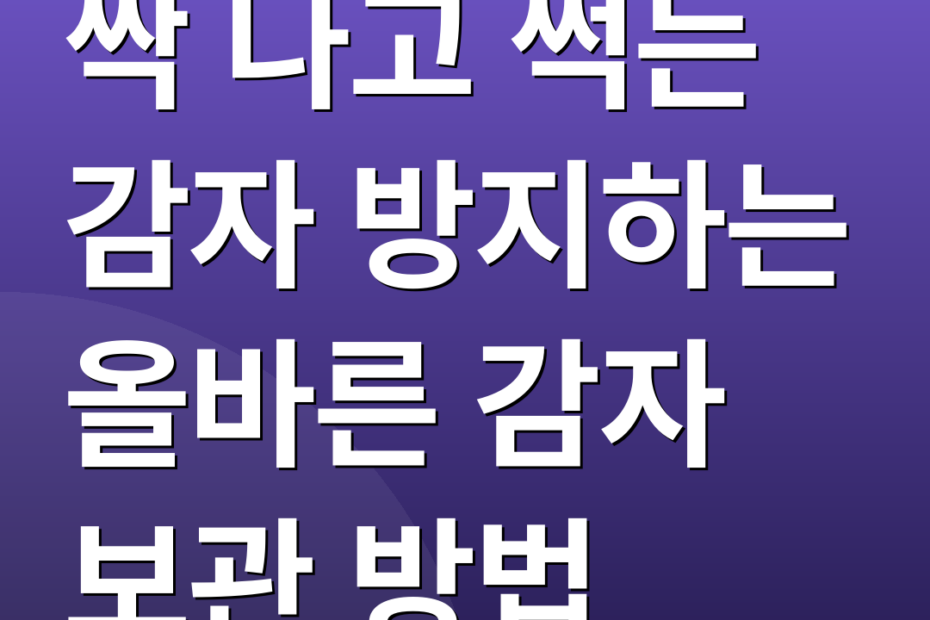 싹 나고 썩는 감자 방지하는 올바른 감자 보관 방법