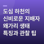 도심 하천의 신비로운 지배자 왜가리 생태 특징과 관찰 팁