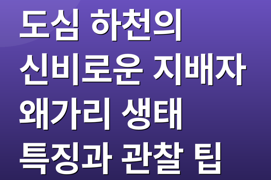 도심 하천의 신비로운 지배자 왜가리 생태 특징과 관찰 팁