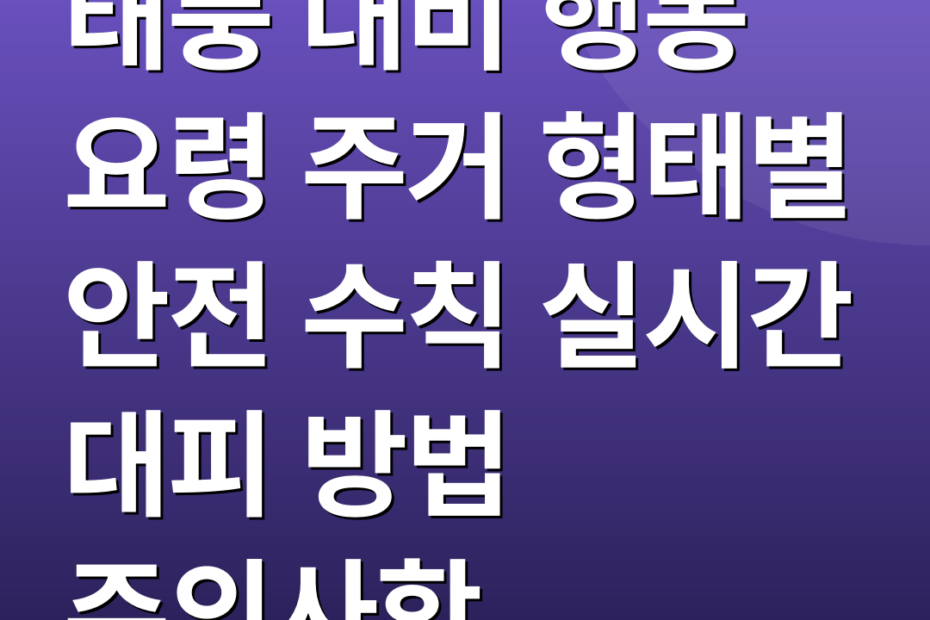 태풍 대비 행동 요령 주거 형태별 안전 수칙 실시간 대피 방법 주의사항