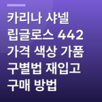 카리나 샤넬 립글로스 442 가격 색상 가품 구별법 재입고 구매 방법