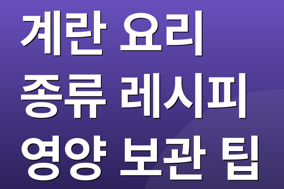 계란 요리 종류 레시피 영양 보관 팁