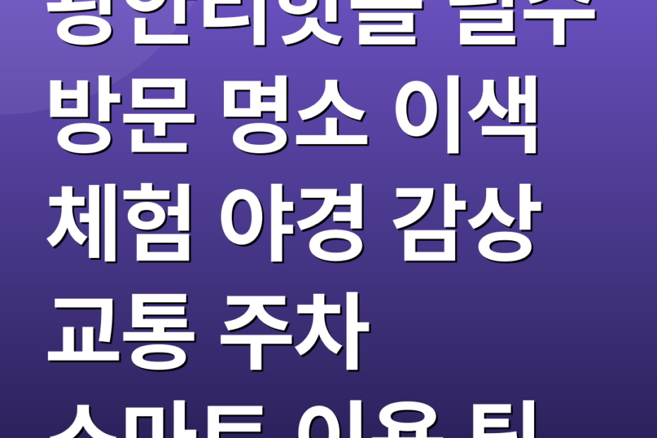 광안리핫플 필수 방문 명소 이색 체험 야경 감상 교통 주차 스마트 이용 팁
