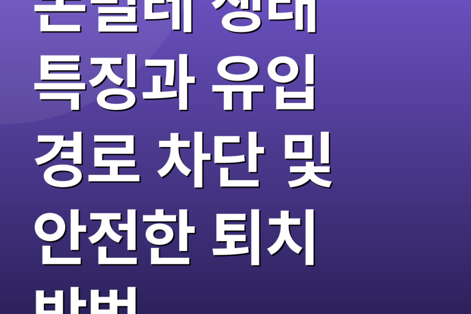 돈벌레 생태 특징과 유입 경로 차단 및 안전한 퇴치 방법