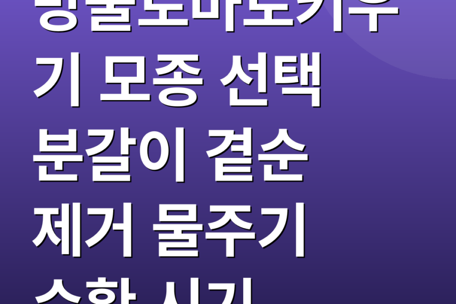 방울토마토키우기 모종 선택 분갈이 곁순 제거 물주기 수확 시기