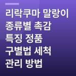 리락쿠마 말랑이 종류별 촉감 특징 정품 구별법 세척 관리 방법