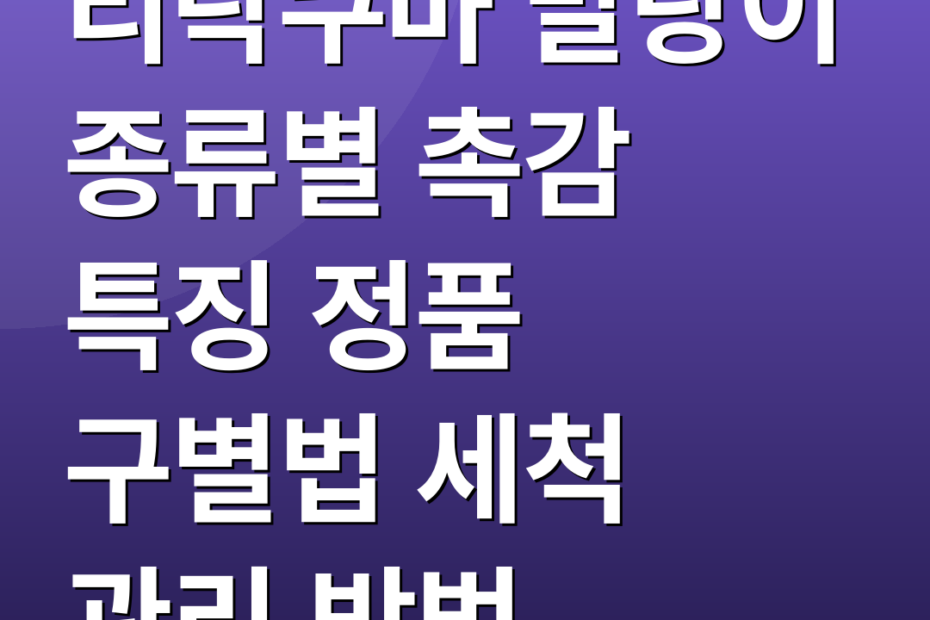 리락쿠마 말랑이 종류별 촉감 특징 정품 구별법 세척 관리 방법