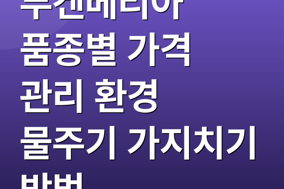 부겐베리아 품종별 가격 관리 환경 물주기 가지치기 방법