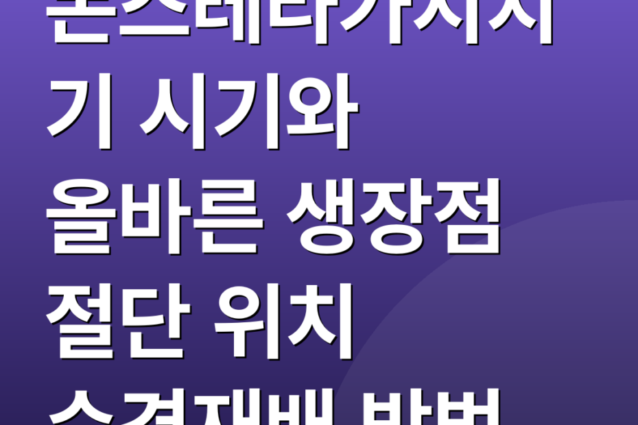 몬스테라가지치기 시기와 올바른 생장점 절단 위치 수경재배 방법
