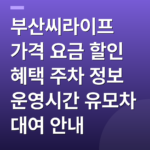 부산씨라이프 가격 요금 할인 혜택 주차 정보 운영시간 유모차 대여 안내