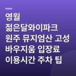 영월 젊은달와이파크 원주 뮤지엄산 고성 바우지움 입장료 이용시간 주차 팁