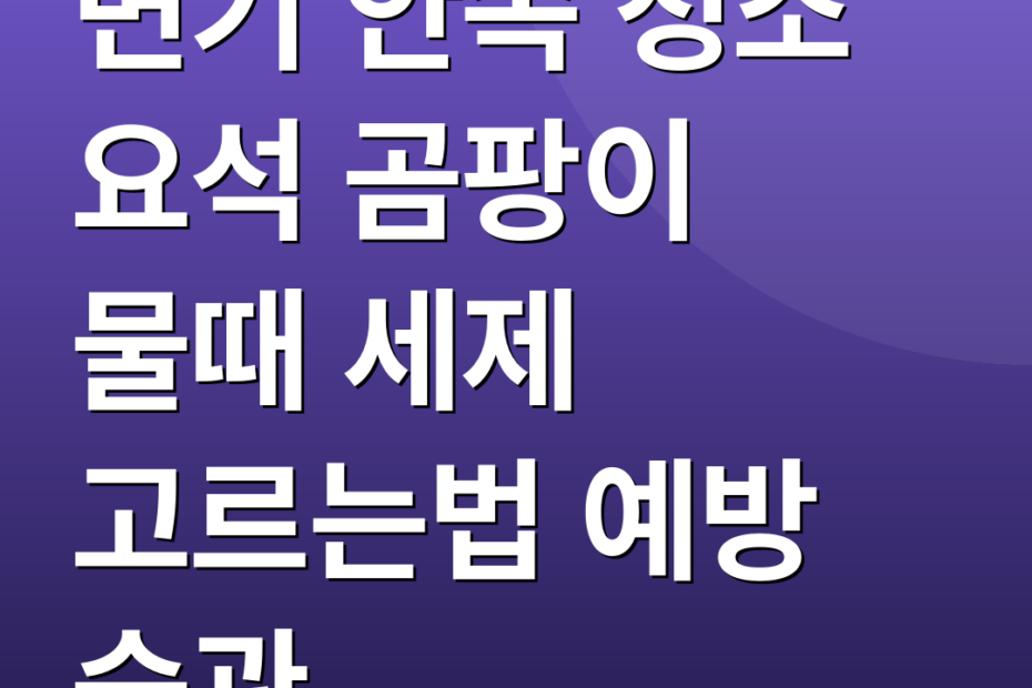 변기 안쪽 청소 요석 곰팡이 물때 세제 고르는법 예방 습관