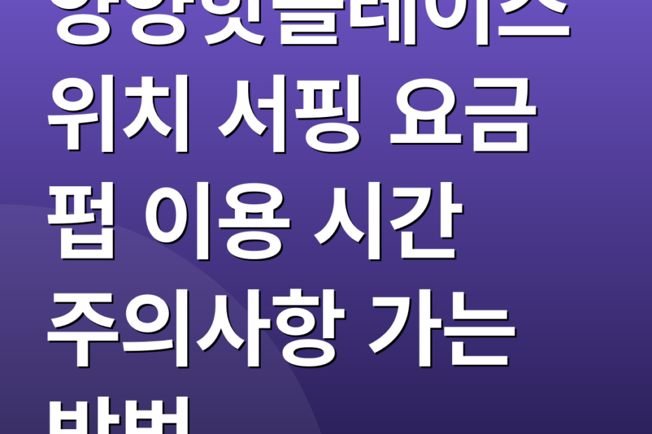 양양핫플레이스 위치 서핑 요금 펍 이용 시간 주의사항 가는 방법