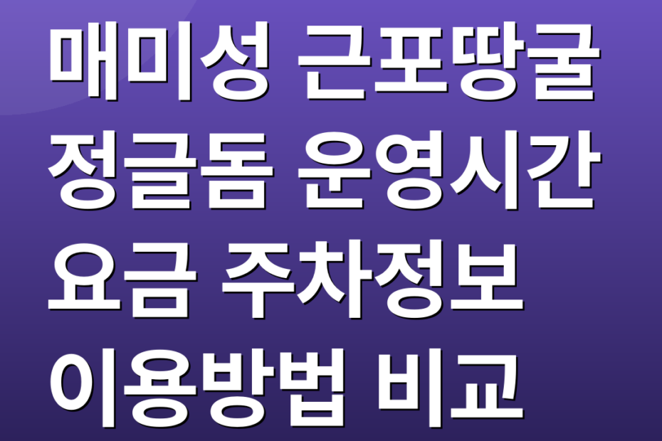 매미성 근포땅굴 정글돔 운영시간 요금 주차정보 이용방법 비교