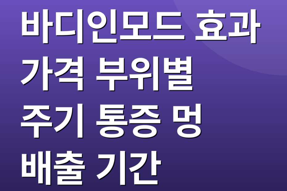 바디인모드 효과 가격 부위별 주기 통증 멍 배출 기간