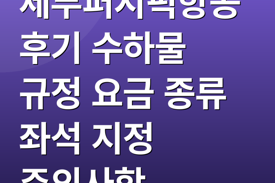 세부퍼시픽항공후기 수하물 규정 요금 종류 좌석 지정 주의사항