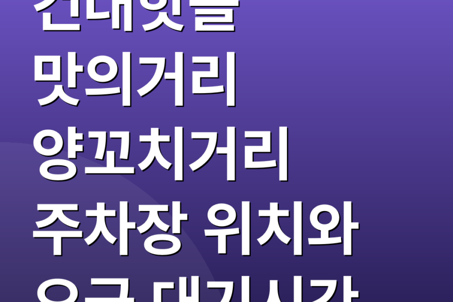 건대핫플 맛의거리 양꼬치거리 주차장 위치와 요금 대기시간
